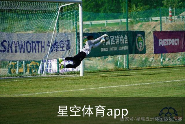 星空体育app公司简介图片